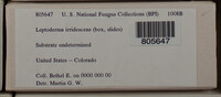 Image Associated With the Occurence